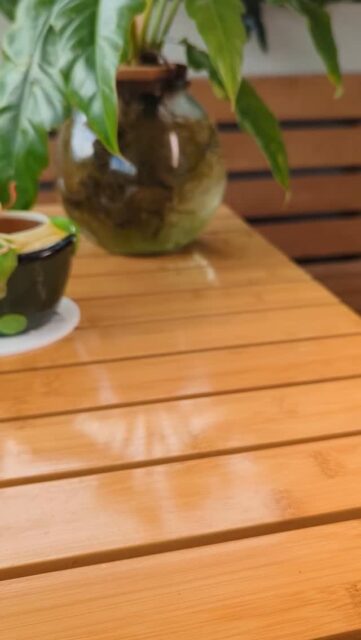 Looking for something different on your next visit?
Take our suggestion and go for the Ahi Tuna Burger.
Freshly ground tuna, layered with wasabi aioli, avocado, shishito bok choy slaw, and a touch of Thai chili aioli for that perfect kick.

Available at all RUMBA locations.