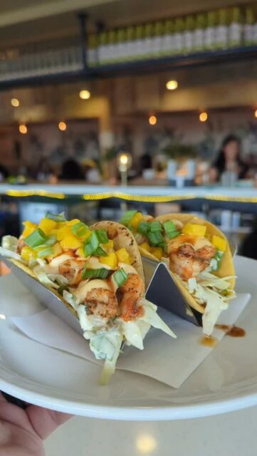 Taco Tuesday just found your order. 🌮🔥
Our Shrimp Taco brings blackened shrimp, island slaw, fresh mango, sriracha aioli, eel sauce, and green onions together in one seriously good bite.
And on Tuesdays? Even better. Grab 3 tacos for $15 and turn an ordinary Tuesday into a RUMBA one.
Come hungry. Leave on island time. 🌴
#RUMBAMetairie #TacoTuesday #ShrimpTacos #MetairieEats #TasteRUMBA